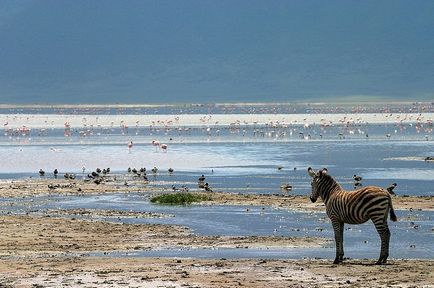 Rezervația Ngorongoro în Tanzania