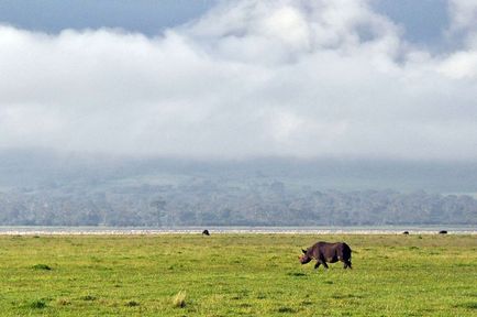 Ngorongoro Természetvédelmi Terület Tanzánia