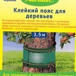 Захист плодових взимку від гризунів - захист саду