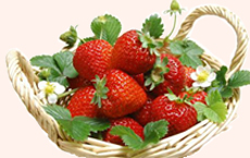 Căpșuni proprietăți utile rețete căpșuni cosmetice gătit