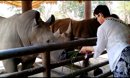 Vacanță de iarnă în Pattaya