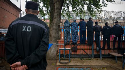 Адміністративна амністія і вседозволеність експерт пояснив, чим небезпечна ініціатива РПЛ, новини