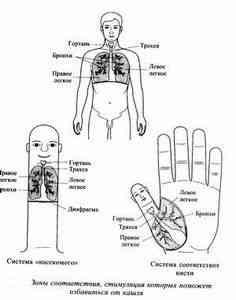 Acupunctura din tuse - secrete de frumusete si sanatate - catalog de articole - sfaturi utile pentru acasa