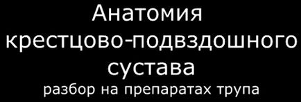 Анатомія з'єднання кісток тазу