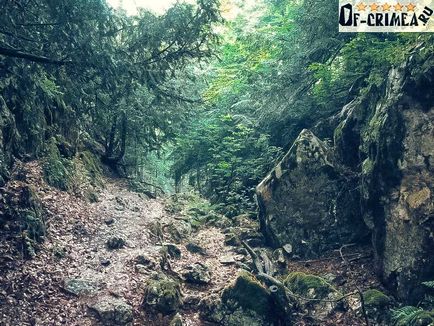 Ангарський перевал крим - як добратися, відгуки, опис з фото