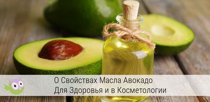 Чим корисно масло авокадо і різні способи його застосування
