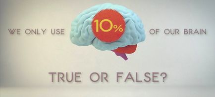 Скільки відсотків мозку використовує людина, на скільки він розвинений і його потенціал