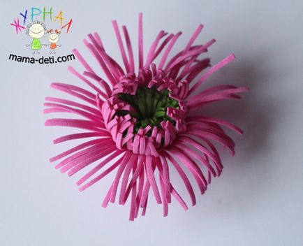 Virág saját kezűleg, őszirózsa mesterkurzus - egy magazin anyák és gyermekek
