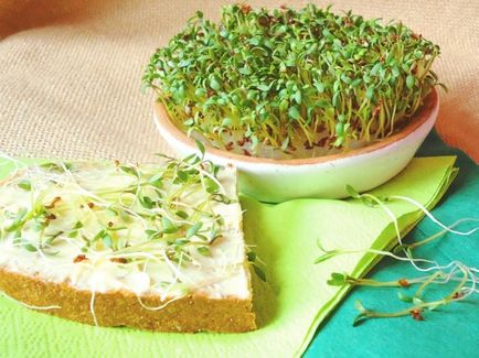 Înflorire cress-salad - utilizarea de hrănire mame hrănit video