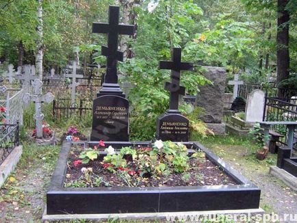 Дем'яненко олександр сергеевич (1937-1999)