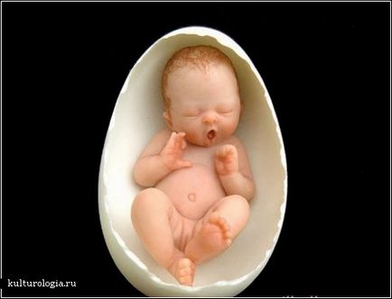 Baby păpuși Camilla Allen (camille allen)