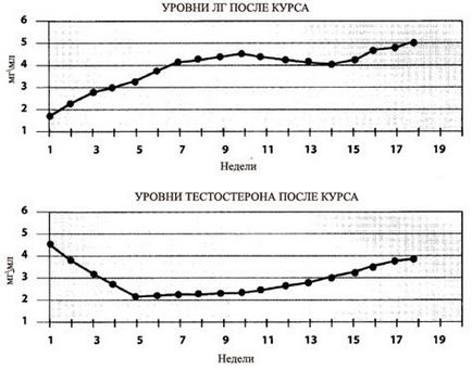 Дуга ГГТ (гіпоталамус-гіпофіз-тестікули)