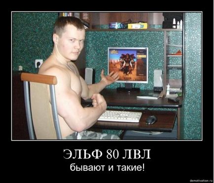 Ельф 80-го рівня, netlore 80 lvl, 80 лвл, mmorpg, wow, альфа-банк, восьмидесятих рівень, ельф