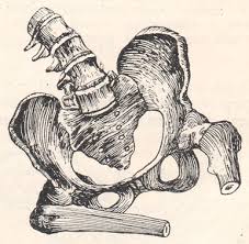 Enhondroma combcsont, onkostatus (csont) Enhondroma combcsont, onkostatus