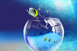 Filtrarea apei în metodele de curățare a acvariului