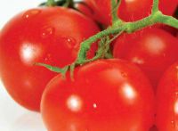 Формування рослин томата