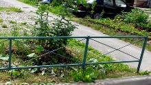 Lawn Talicskák fémből készült, dekoratív kerítések - Novgorod - (fém rendelésre Novgorod) Lawn Talicskák fémből készült, dekoratív kerítések - Novgorod -