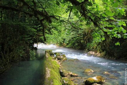 Abhazia din Abhazia