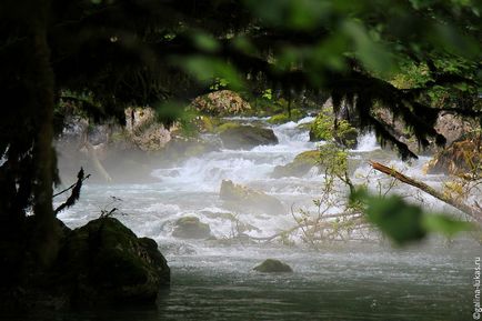 Abhazia din Abhazia