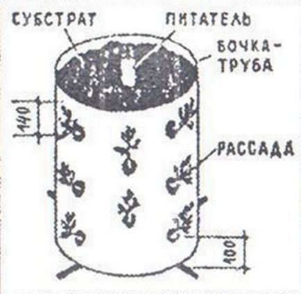 Pat într-o pungă