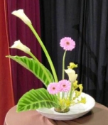 Ikebana - Ikebana, buchet, flori, japoneză, artă, budism, moriban, nageire, rikka, seika, shoka