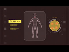 Sistemul insecticidelor, un catalog de insecticide de nivel de sistem, clasificarea insecticidelor, metodele