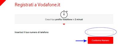 Instrucțiuni pentru cartele SIM Vodafone smart passport și internet