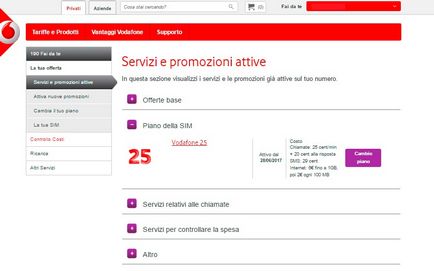 Instrucțiuni pentru cartele SIM Vodafone smart passport și internet