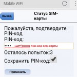 Instrucțiuni pentru cartele SIM Vodafone smart passport și internet