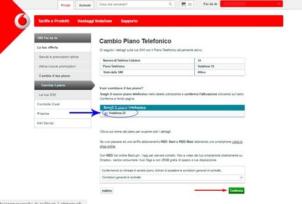 Instrucțiuni pentru cartele SIM Vodafone smart passport și internet