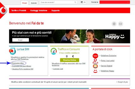 Instrucțiuni pentru cartele SIM Vodafone smart passport și internet