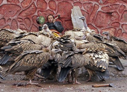 Як проходить «небесне поховання» в Тибеті - новини в фотографіях
