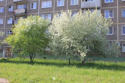 Як зняти відворот з коханої людини самостійно