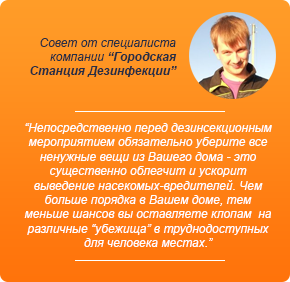 Як терміново позбутися від щурячого кліща - міська станція дезінфекції