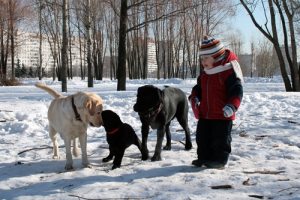Mikor mosni kiskutya, a kölyök (puppy) Mikor mosni kiskutya, kiskutyám
