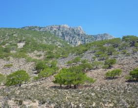 Creta relief - gama de munte - terenul Cretei - drumeții montane de mai multe zile - drumeții în peșteri - trasee