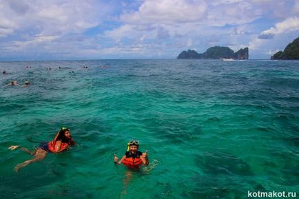 În cazul în care pentru a merge pe iernile în Thailanda Krabi vs Samui