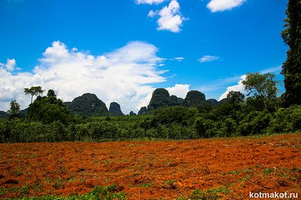 În cazul în care pentru a merge pe iernile în Thailanda Krabi vs Samui