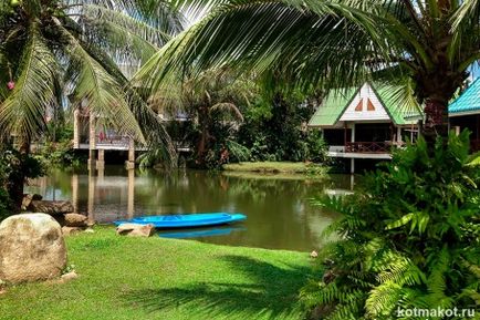 În cazul în care pentru a merge pe iernile în Thailanda Krabi vs Samui