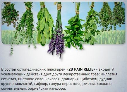 Купити китайські ортопедичні пластирі «zb pain relief»