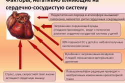 Lfk cu boli ale sistemului cardiovascular
