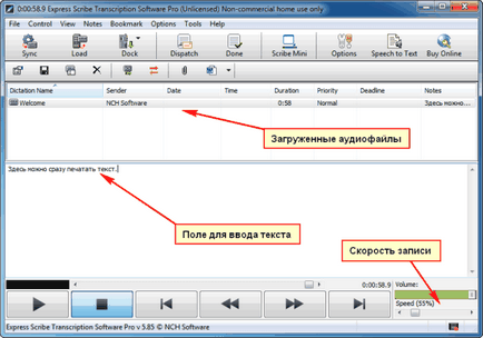 Cel mai bun program pentru transcrierea audio și video în text