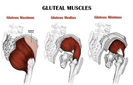 Cele mai bune exerciții pentru fese cresc tonul mușchilor gluteali