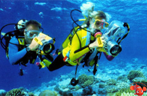 Cele mai bune aparate de fotografiat pentru a fotografia sub apă recenzie detaliată