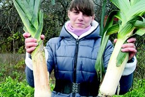 Póréhagyma - növekvő vetőmagok és ápolási otthon