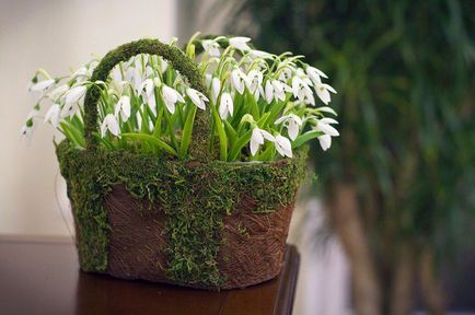 Clasă de zăpadă de la porțelan rece (florărie ceramică) - târg de maeștri - manual