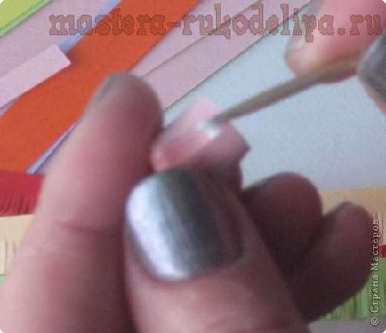 Master-clasa pentru quilling flori franjuri (fringed) Maestru de clasă pe quilling flori franjuri