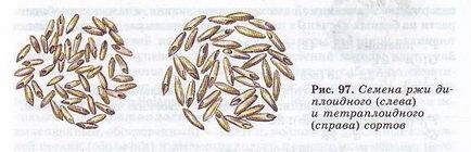 Metode de creștere a plantelor (biologie) Metode de creștere a plantelor