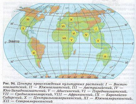 Metode de creștere a plantelor (biologie) Metode de creștere a plantelor