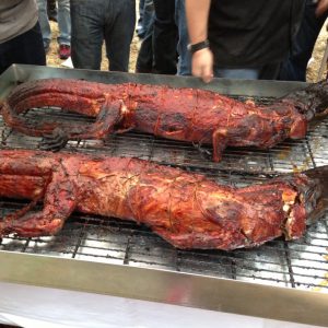 М'ясо крокодила 🐊 переваги для організму, food and health